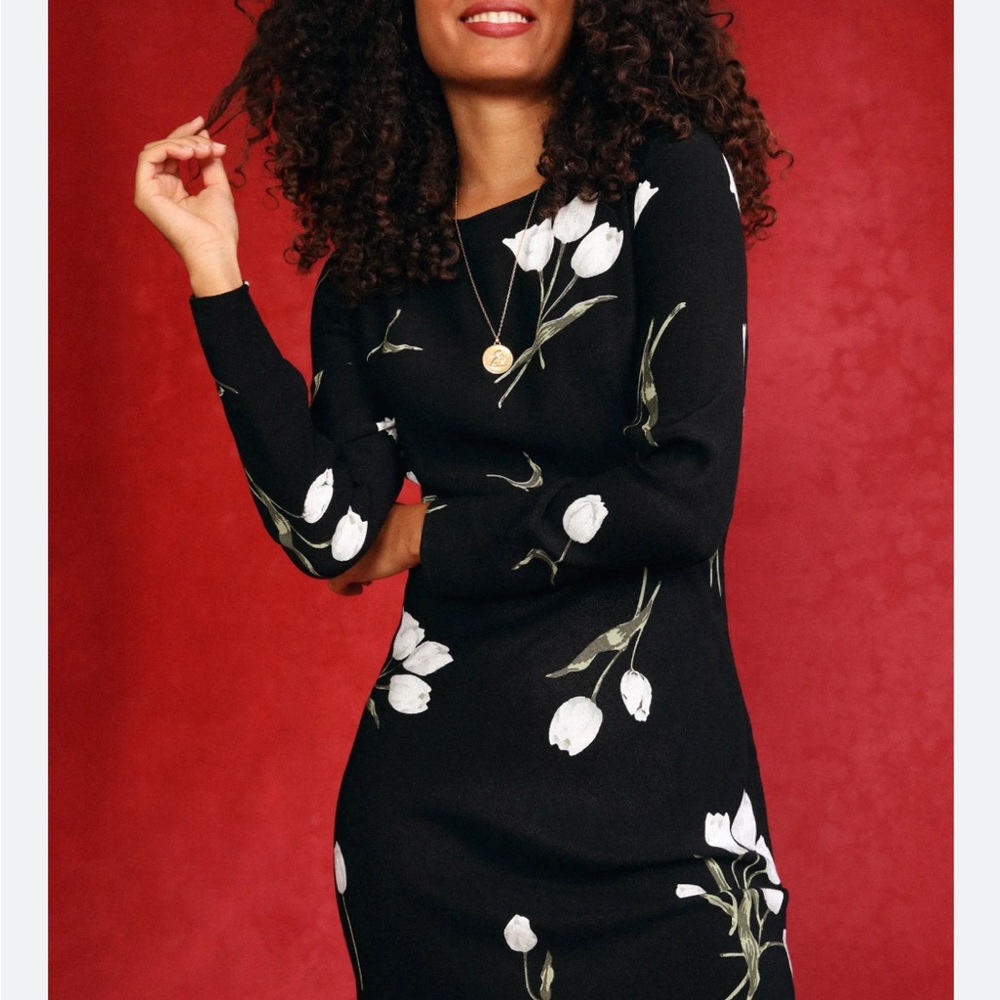 Rouje Alana Dress 36
